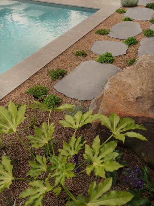 CentredLandscapes-Details Centred Landscapes Details